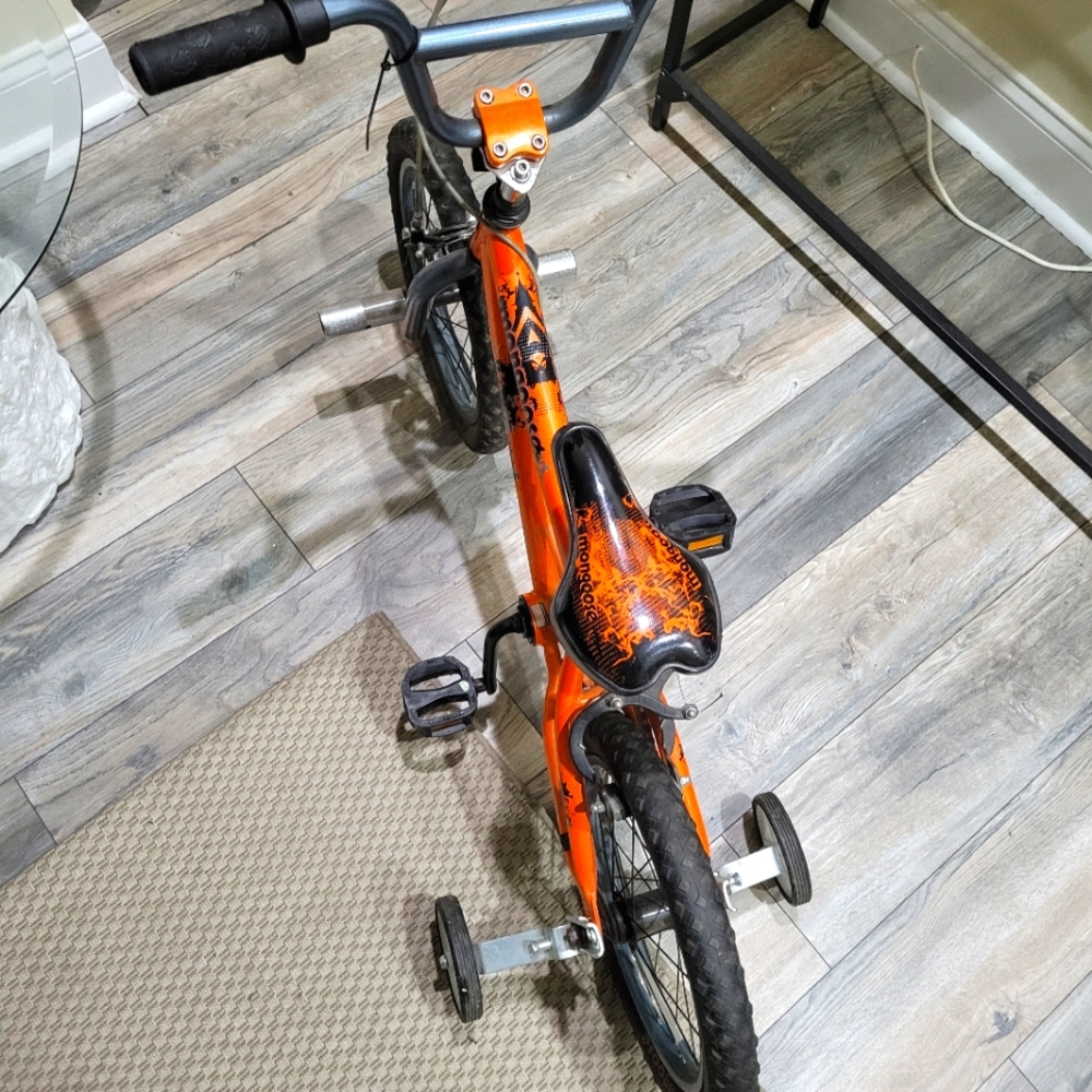BICYCLE MONGOOSE